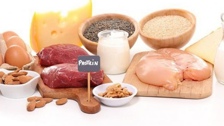 Protein Rich Diet Foods Groups