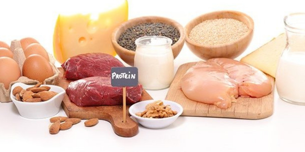 Protein Rich Diet Foods Groups